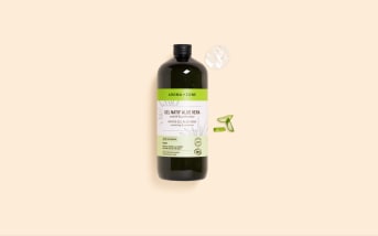 Aloe Vera pour soulager l’eczéma : zoom sur cette solution naturelle